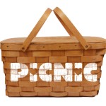 Town_Picnic_2013